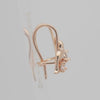 .Rose Gold dolphin wire hook child earrings