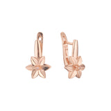 Aretes flor solitario en Oro 14K, Oro Rosa, baño en dos tonos