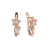 Rose Gold earrings