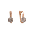 Rose Gold two tone earrings