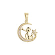 Pingente de ouro 14K