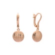 Rose Gold earrings