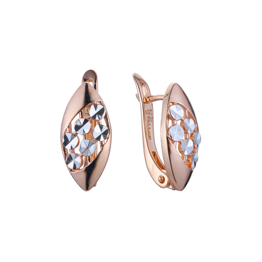 Rose Gold two tone earrings