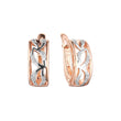 Earrings in Rose Gold, two tone plating colors