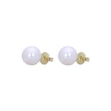 Pearl stud earrings in 14K Gold, 18K Gold plating colors