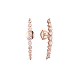 Rose Gold earrings