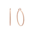 Rose Gold hoop earrings