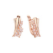 Rose Gold earrings