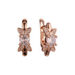 Rose Gold earrings