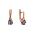 Rose Gold earrings