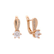 Earrings in Rose Gold, two tone plating colors