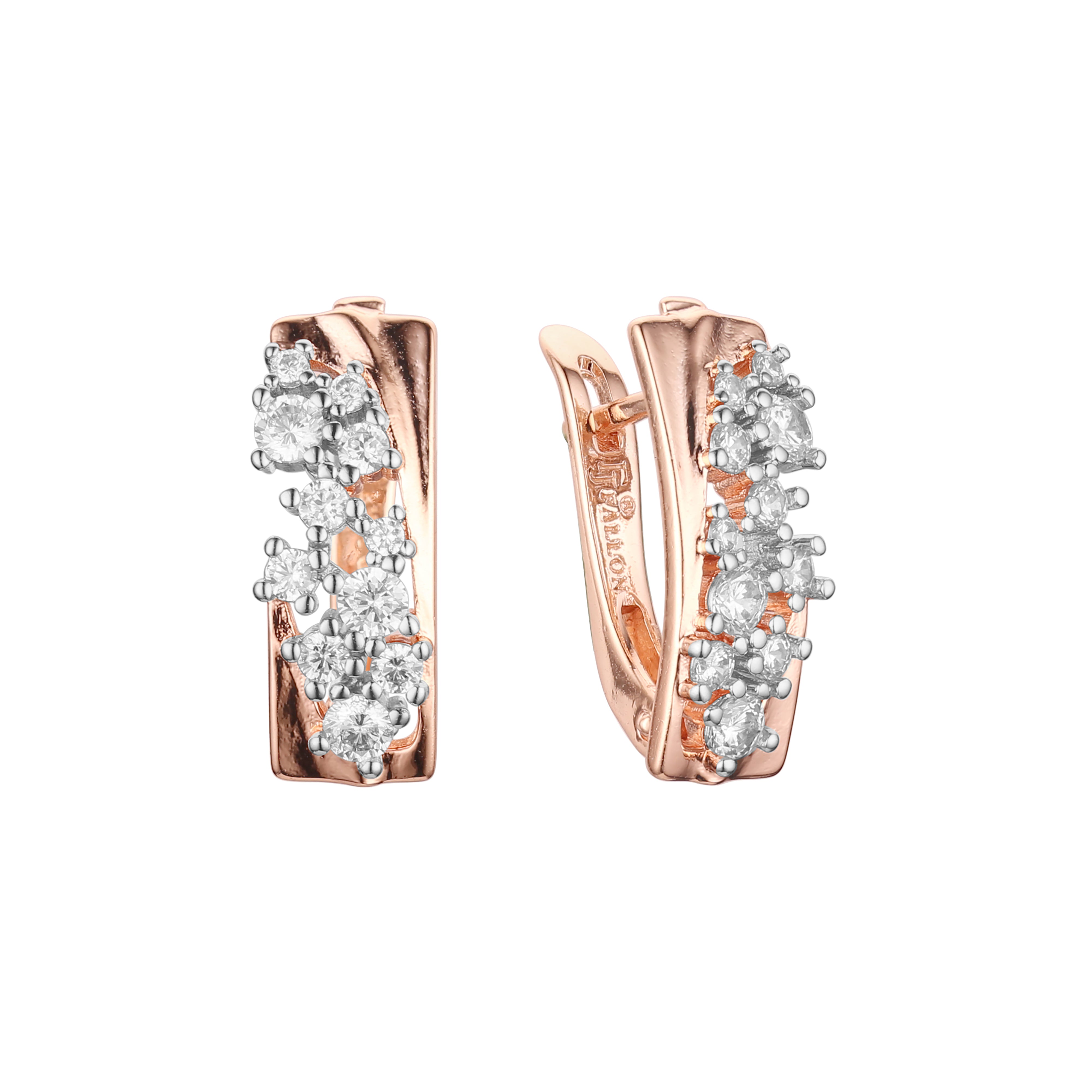 Earrings in Rose Gold, two tone plating colors