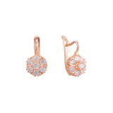 Aretes en Oro 14K, Oro Rosa, baño en dos tonos