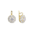 Earrings in 14K Gold, Rose Gold, two tone plating colors