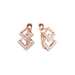 Earrings in Rose Gold, two tone plating colors