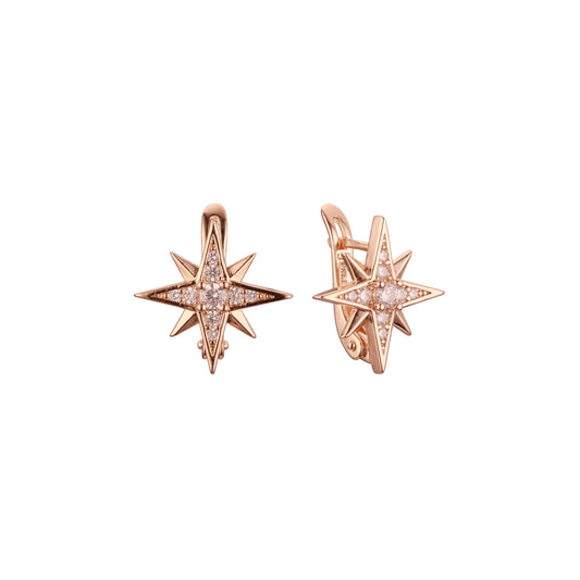 Rose Gold earrings