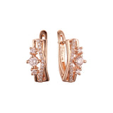 Earrings in Rose Gold, two tone plating colors