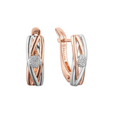 Earrings in Rose Gold, two tone plating colors