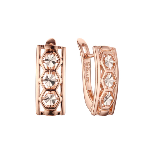 Rose Gold two tone earrings