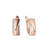 Earrings in Rose Gold, two tone plating colors