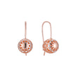 Rose Gold wire hook earrings