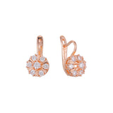 Aretes en Oro 14K, Oro Rosa, baño en dos tonos